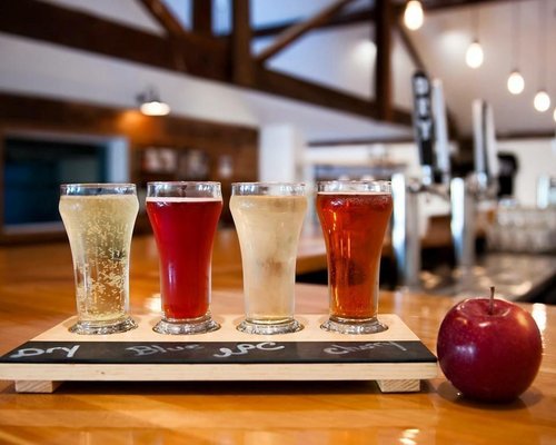 Breweries and Things to Do in the Catskills