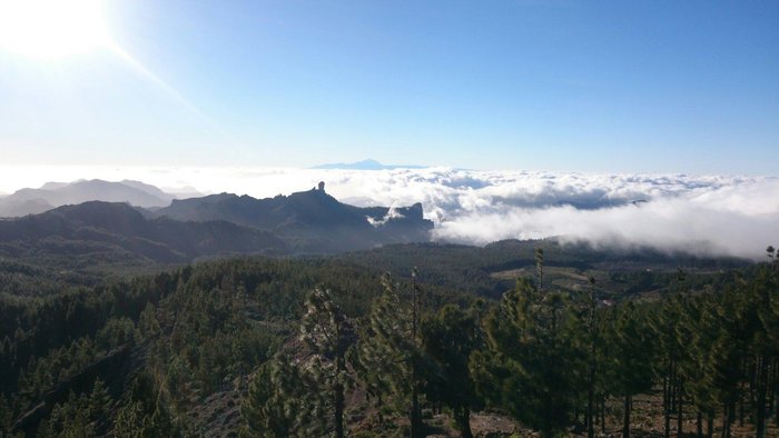 Imagen 2 de Pico de las Nieves