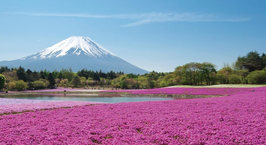 年日本富士河口湖町的旅游景点 旅游指南 行程 Tripadvisor