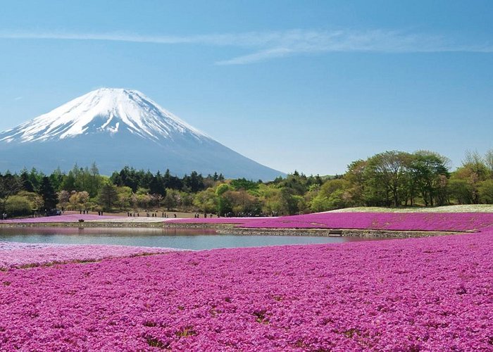 Fujikawaguchiko-machi, Japan 2023: Best Places to Visit - Tripadvisor