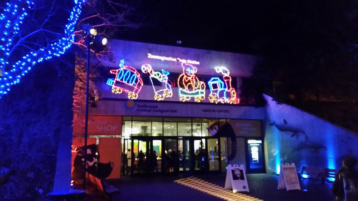 ZooLights All You Need to Know BEFORE You Go (2025)