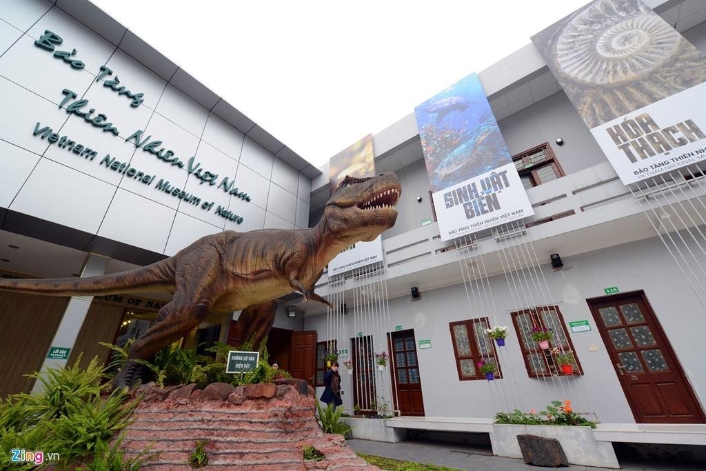 Vietnam National Museum Of Nature - 하노이 - Vietnam National Museum Of  Nature의 리뷰 - 트립어드바이저