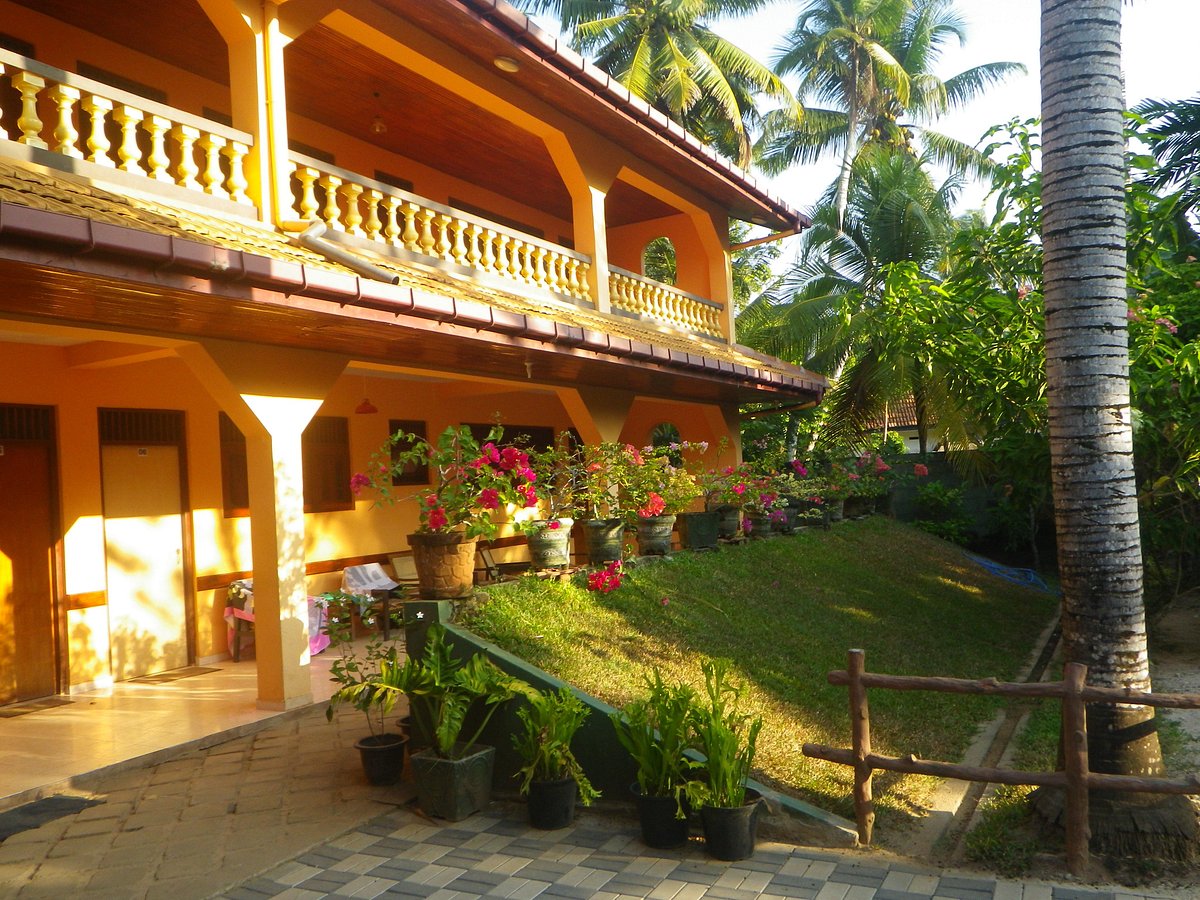 Polhena reef garden 3