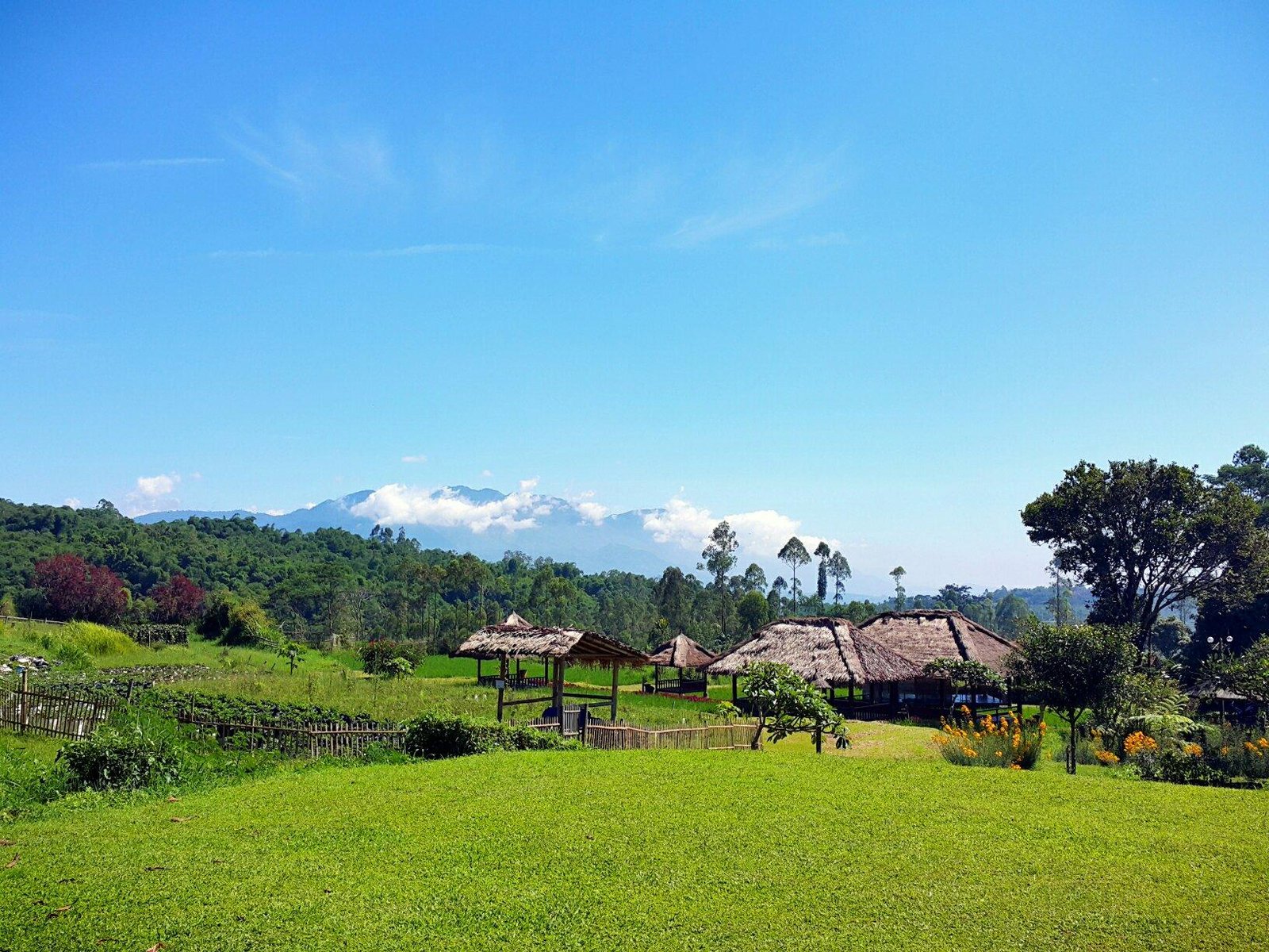 SARI PAPANDAYAN RESORT - Prices & Hotel Reviews (Garut, Indonesia)