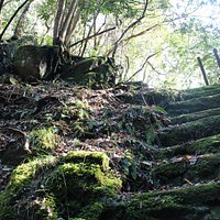 苔具合が良い感じ
