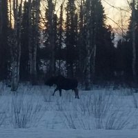 Byers Lake (Talkeetna) - All You Need to Know BEFORE You Go