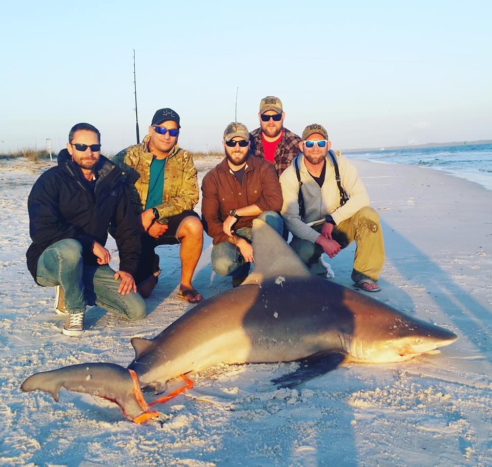 Shark Fishing in Panama City Beach: The Ultimate Guide