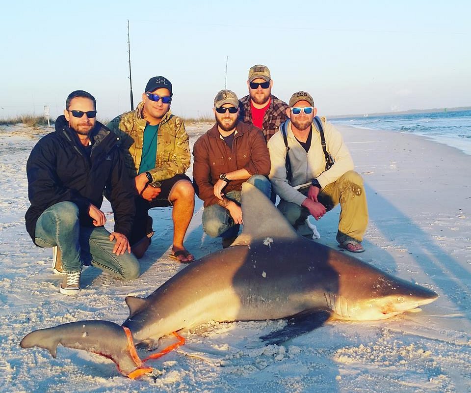 Off The Beach Shark Fishing Day Trips - All You Need to Know