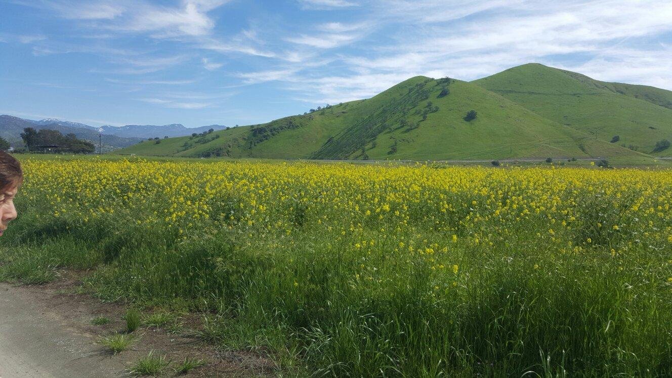 Porterville, CA 2024: Best Places to Visit - Tripadvisor