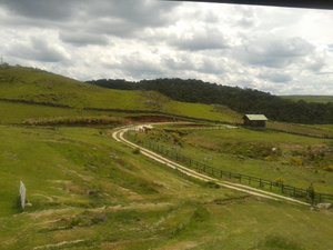 Quarto e suíte