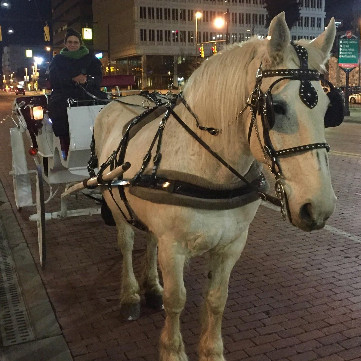 Horse Drawn Scenic Tours of Grand Rapids - Kent City MI, 49330