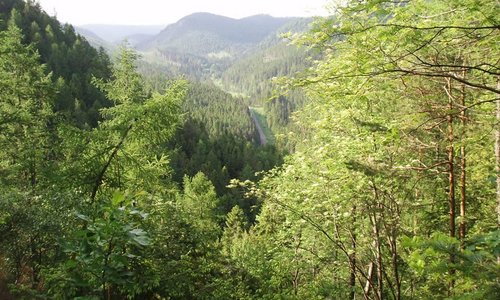 Widok na gory