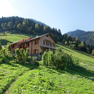 dag evi