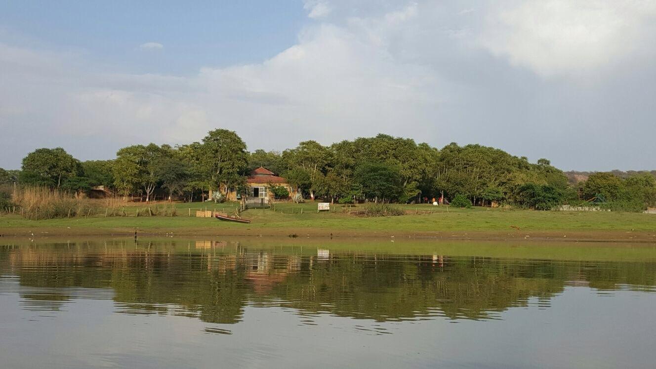 Damdama Lake