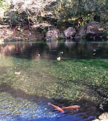 21年 佐野市で絶対外さないおすすめ観光スポットトップ10 定番から穴場まで トリップアドバイザー