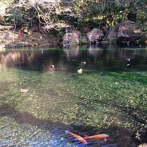 21年 佐野市で絶対外さないおすすめ観光スポットトップ10 定番から穴場まで トリップアドバイザー 21年 佐野市で絶対外さないおすすめ観光スポットトップ10 定番から穴場まで トリップアドバイザー