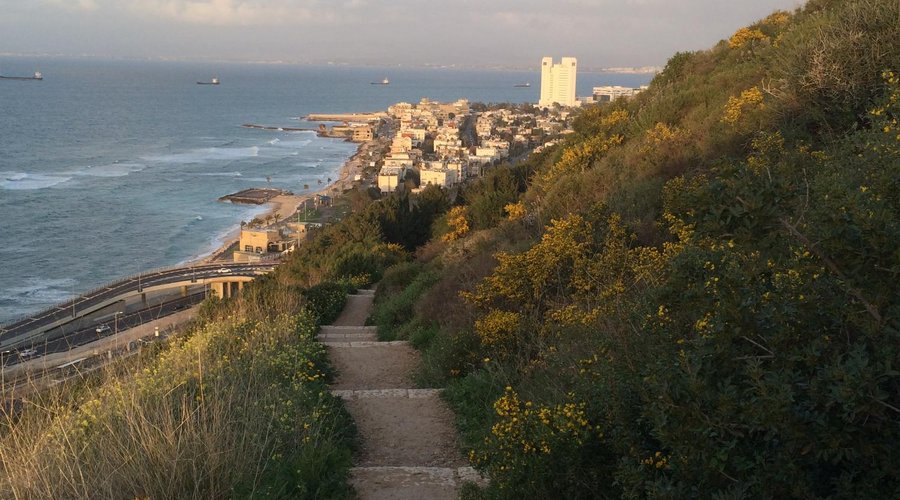 Haifa, from the trail