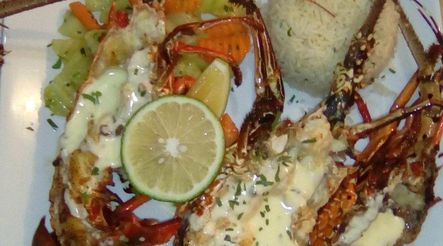 Grilled lobster
