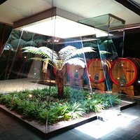 Tenuta Murola Cantina