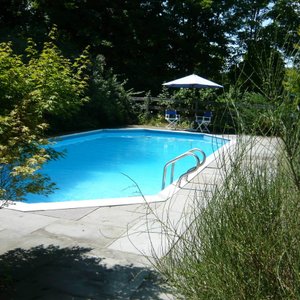 Private inground heated  salt water pool