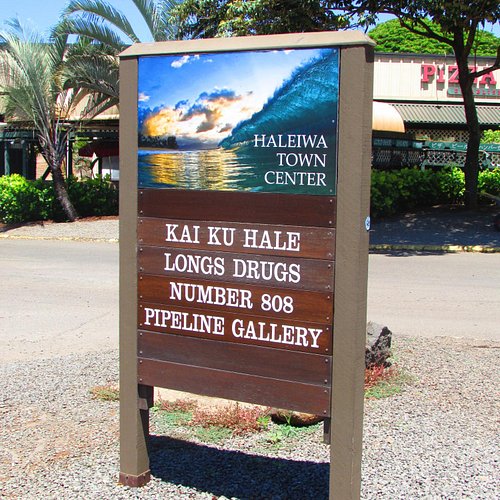 Best Things to do in Oahu's North Shore