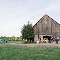 Great Frogs Winery