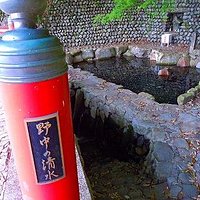 野中の清水