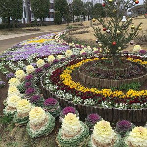 21年 松戸市で絶対外さないおすすめ観光スポットトップ10 定番から穴場まで トリップアドバイザー 21年 松戸市で絶対外さないおすすめ観光スポットトップ10 定番から穴場まで トリップアドバイザー