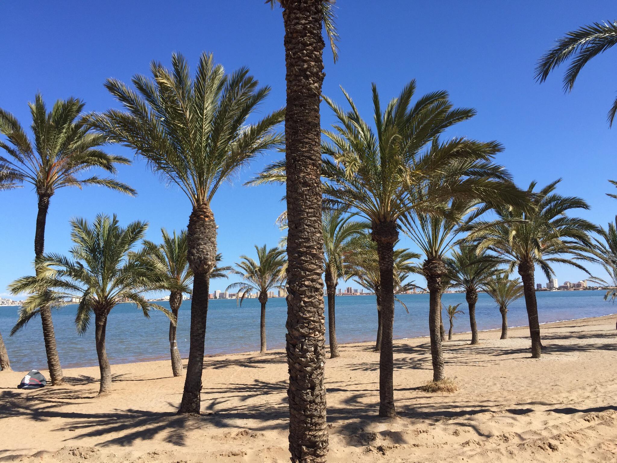 Hotel photo 2 of Camping Caravaning La Manga.