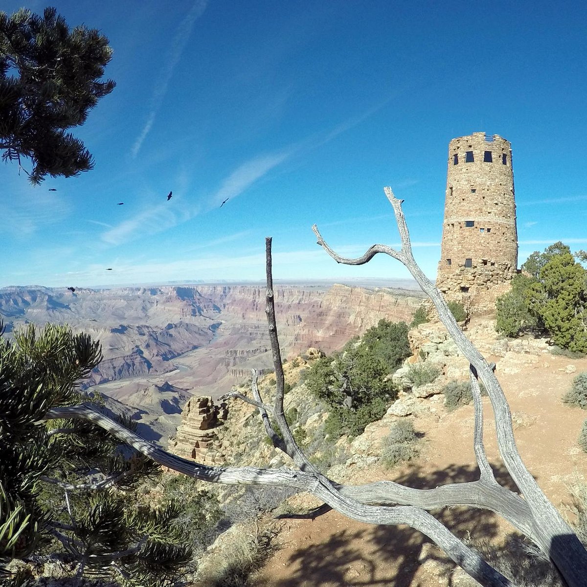 grand canyon tours tripadvisor