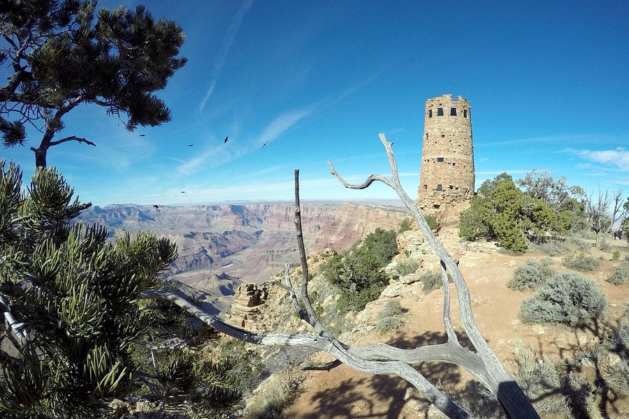 grand canyon tours march
