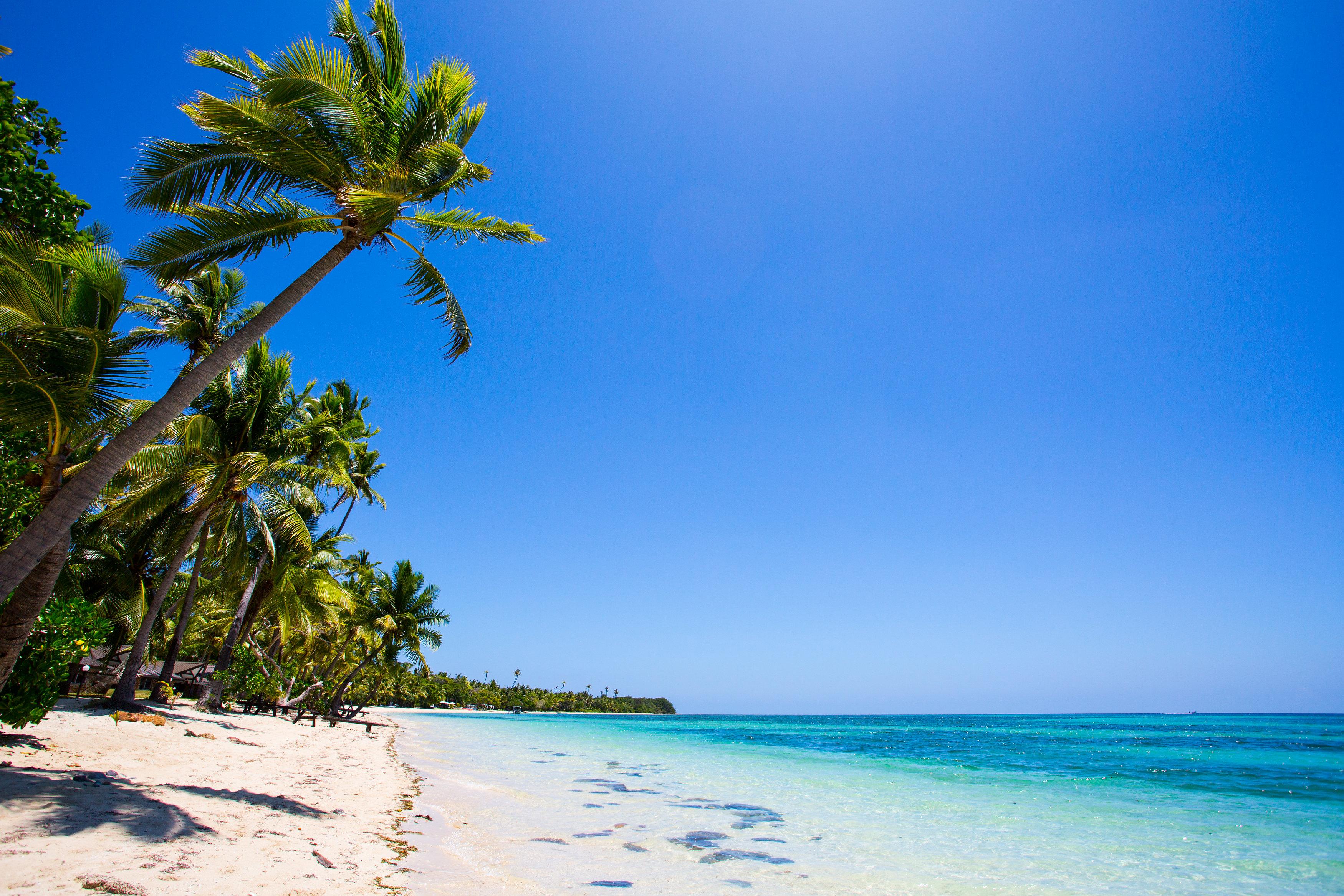 Plantation Island Resort Pool Pictures Reviews Tripadvisor   Beach 