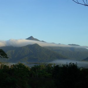 Thornton Peak from the Epiphyte breakfast table