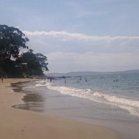 Hinsby Beach (Taroona): All You Need to Know BEFORE You Go