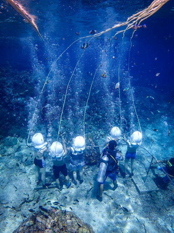 2023年 Serangan Dive Bali / Serangan Marine Service - 行く前に