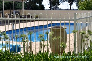 Pool & Beach