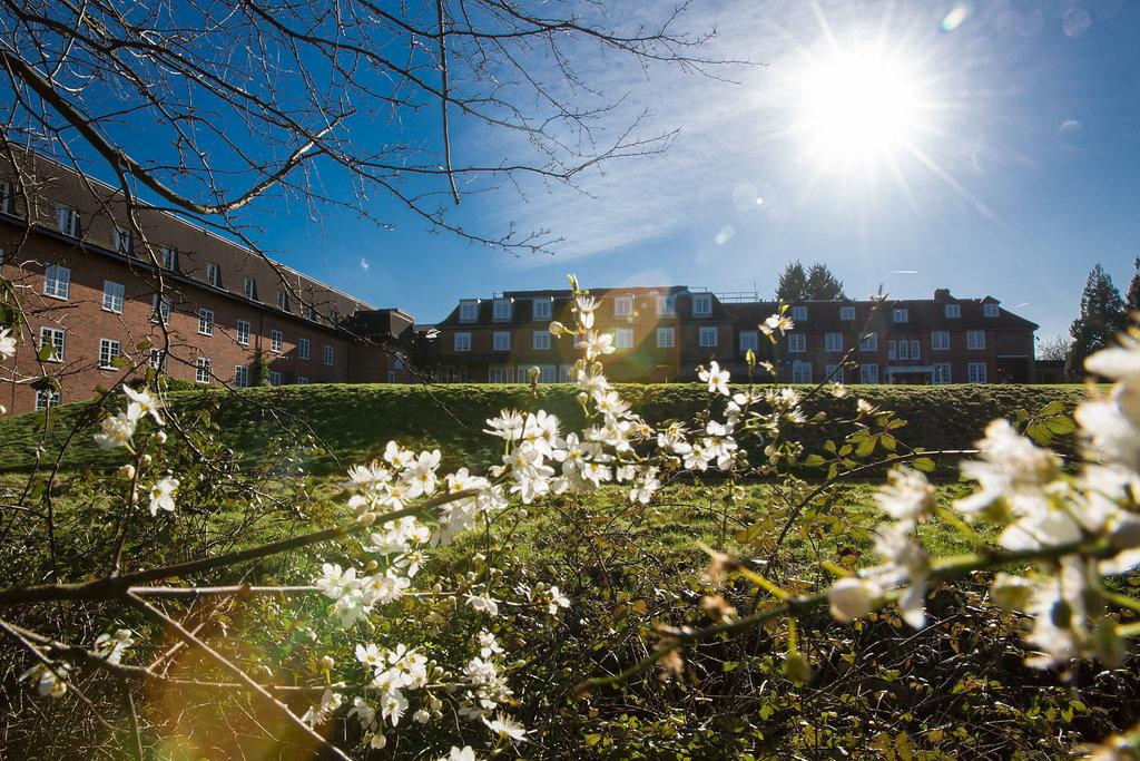 Needham House Hotel Reviews Photos Little Wymondley England