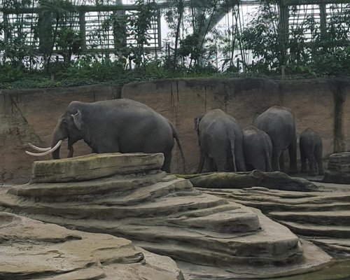 オランダの動物園 水族館 ベスト10 トリップアドバイザー