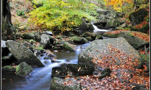 PADLEY GORGE DERBYSHIRE BY SWIFT314