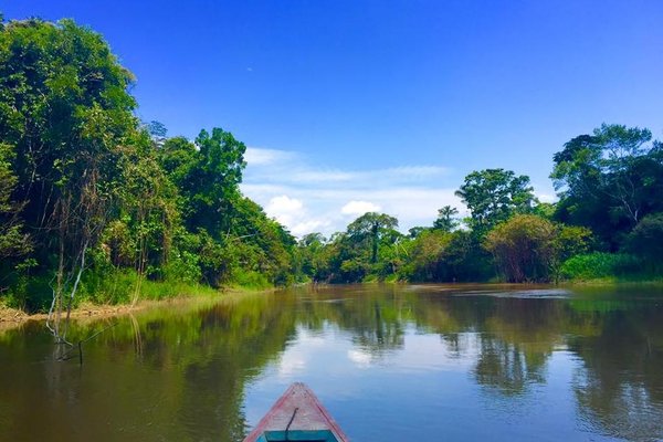 ECOLOGICAL JUNGLE TRIPS (NAUTA, PERU): 329 fotos, comparação de preços e  avaliações - Tripadvisor