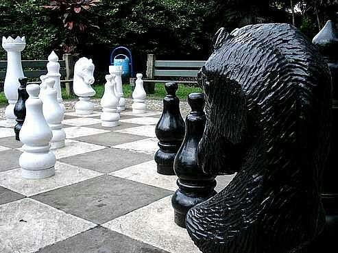 Xadrez Gigante - A lojinha de xadrez que virou mania nacional!