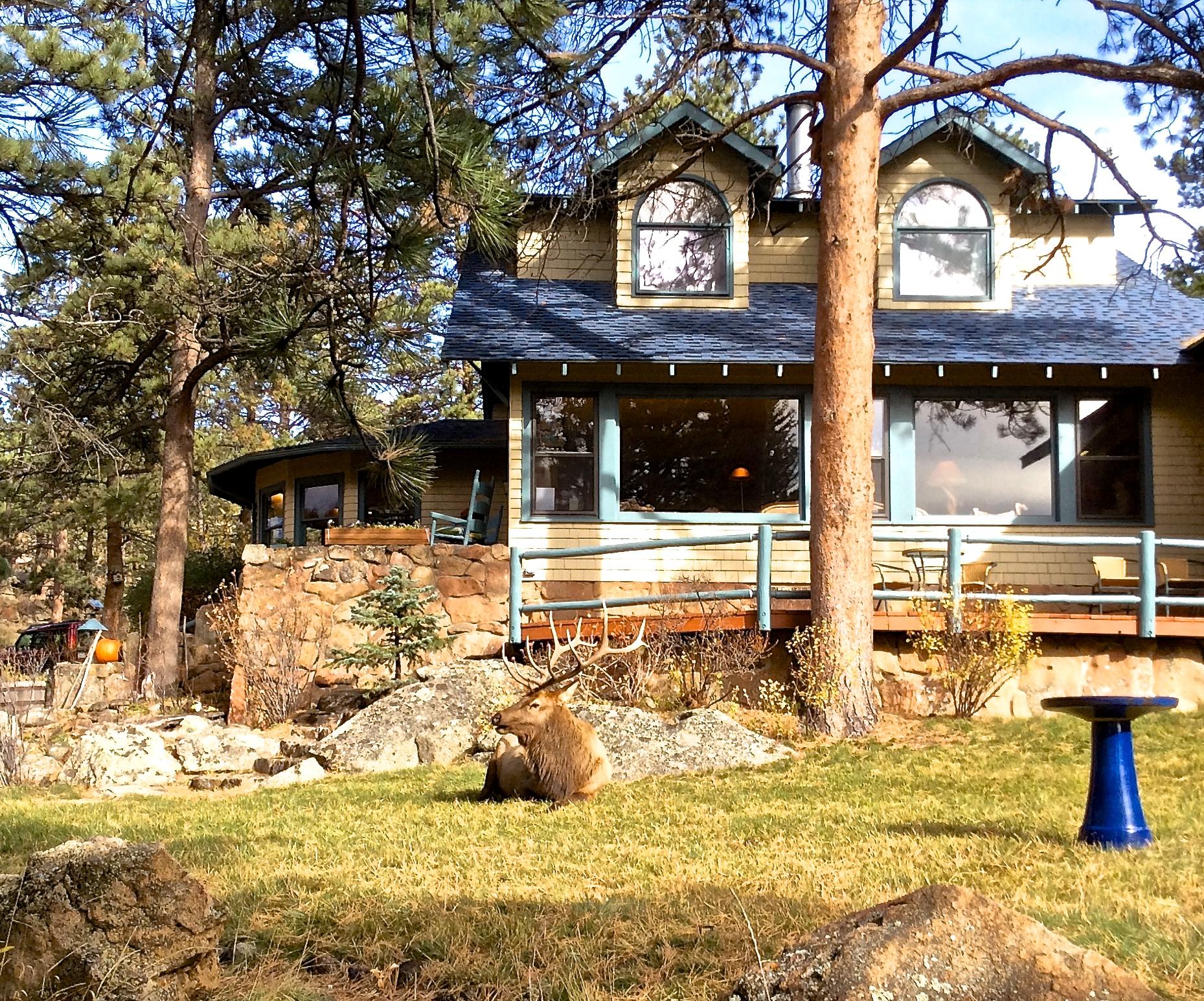 ROMANTIC RIVERSONG INN Desde $3,142 (Estes Park, CO) - Opiniones Y ...