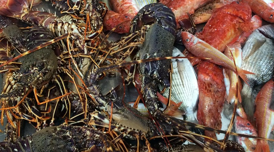 Fresh fish every day!