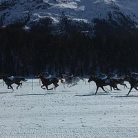 White Turf, gara