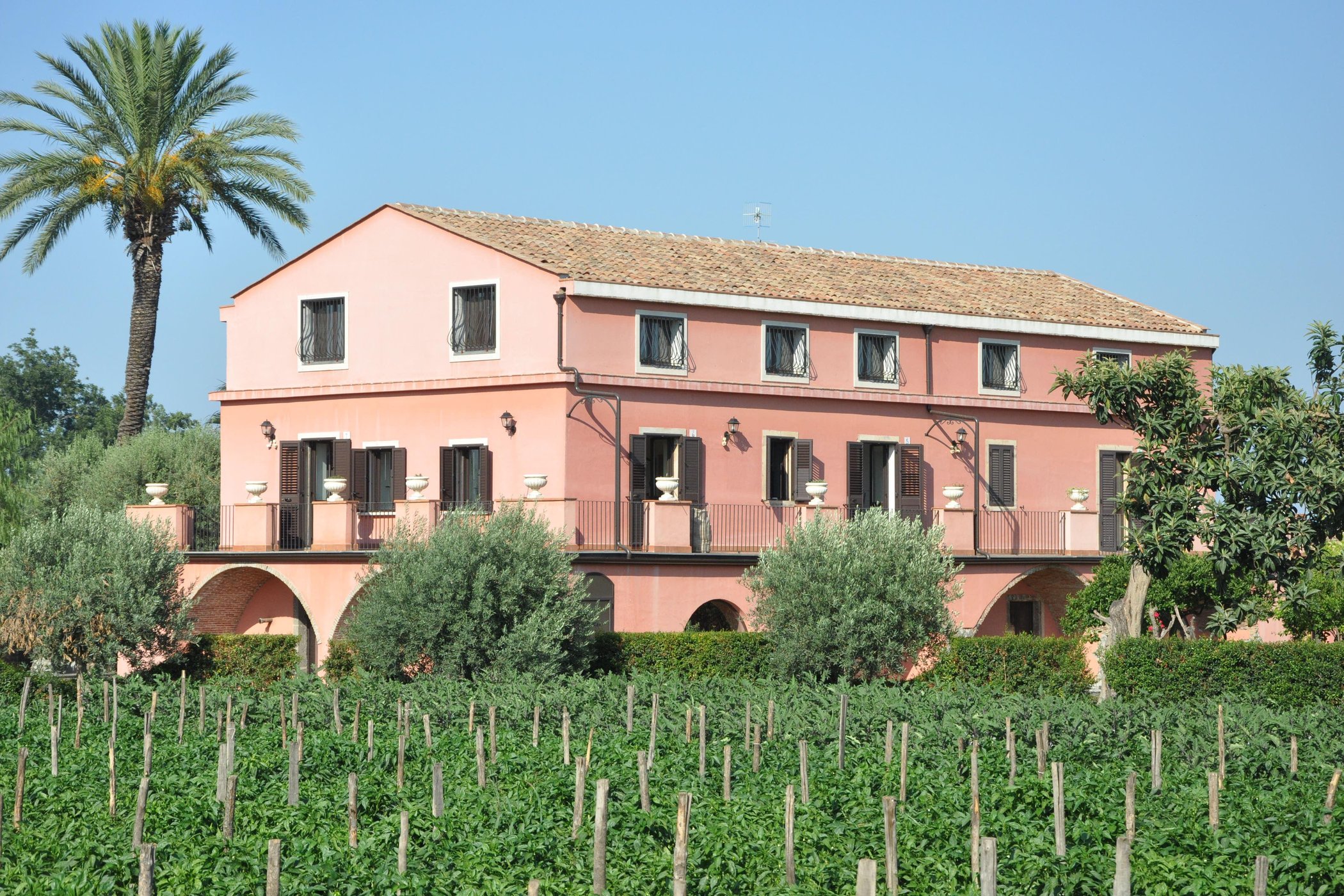 Agriturismo dell'Etna image