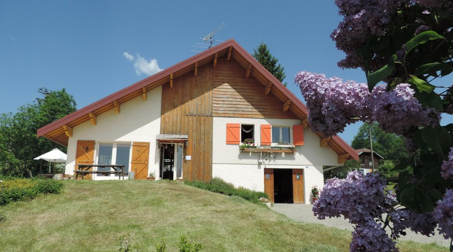 getlstd_property_photo