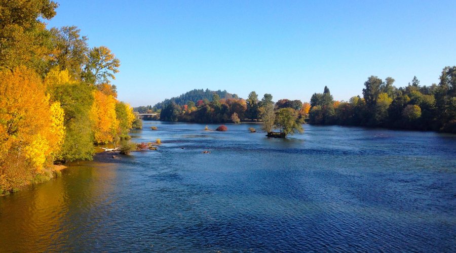 Early fall from Autzen footbridge along the Willamette River bike trail