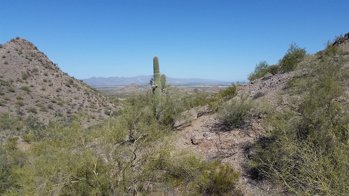 Estrella Mountain Regional Park (Goodyear) - All You Need to Know ...