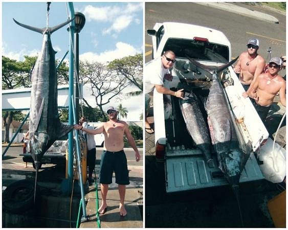 50' - Magic - Hawaii Deep Sea Fishing