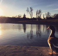 Un parque muy tranquilo y bonito.